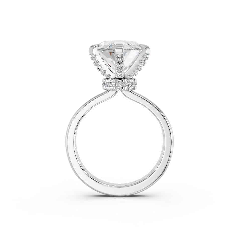 MARQUISE RING WITH FANCY COLLAR HIDDEN HALO