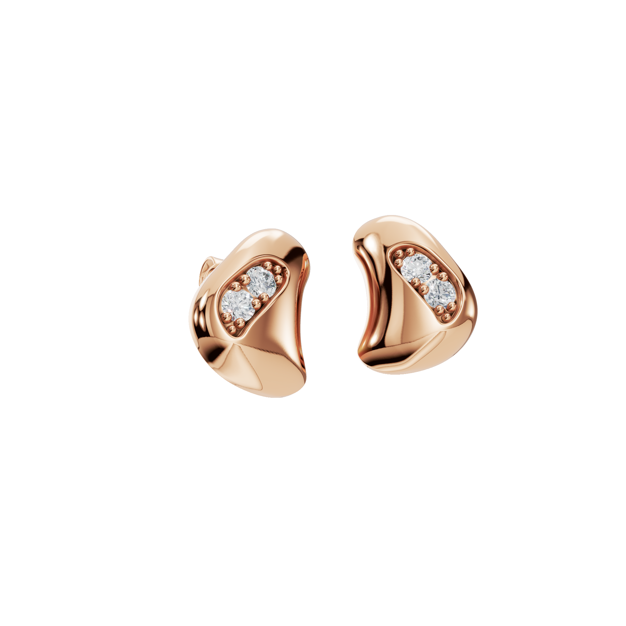 ROUND DOUBLE BEZEL FANCY EARRING