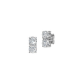 ROUND DOUBLE EARRING