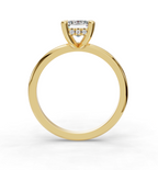 EMERALD HIDDEN HALO RING