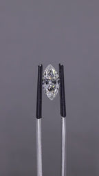 MARQUISE